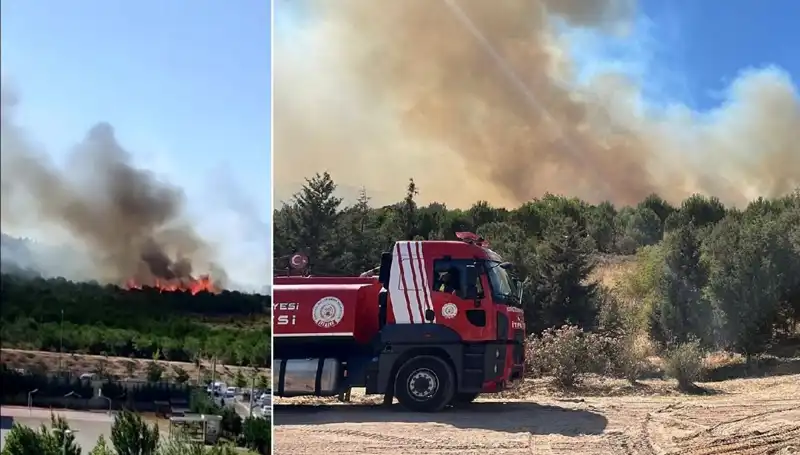 Gebze'de Alevlerin Alev Alev Sardığı Orman Yangını: Son Durum Nedir?
