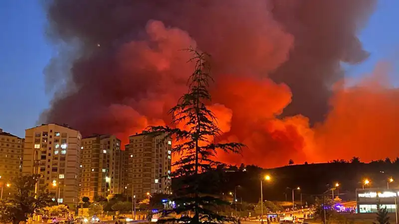 Bursa'da Yangın Alarmı: Şehri Tehdit Eden Alevler!