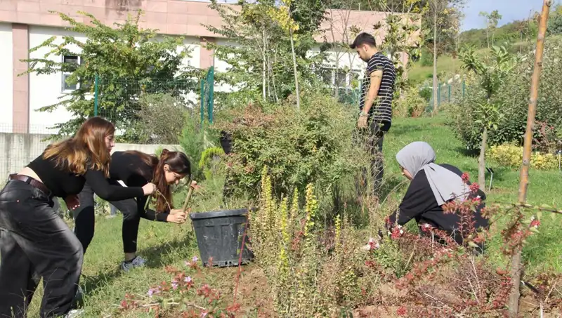 Düzce’nin Başarısıyla Dünyaya Açılan Kapı: Hayaller Gerçek Oldu!