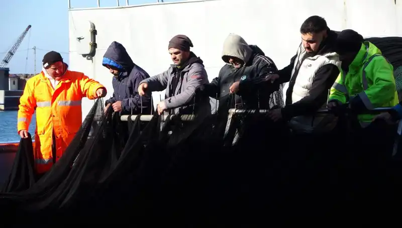 Denizlerde Hamsi Avı Krizi: Tekneler Erken Bitti!