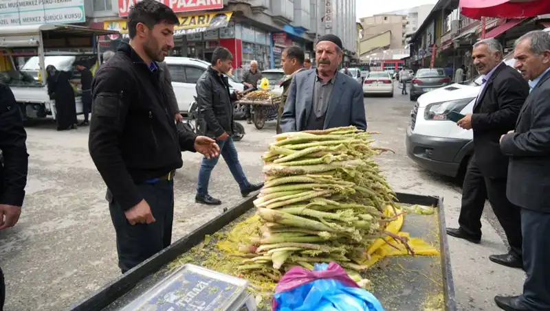 Dağlardan Gelen Şeker: Kanser ve Mide Hastalıklarına Faydaları ile Dikkat Çekiyor