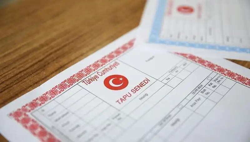 100 Milyonluk Dolandırıcılık: Hisseli Tapu Yalanıyla Tuzak Kuruldu!