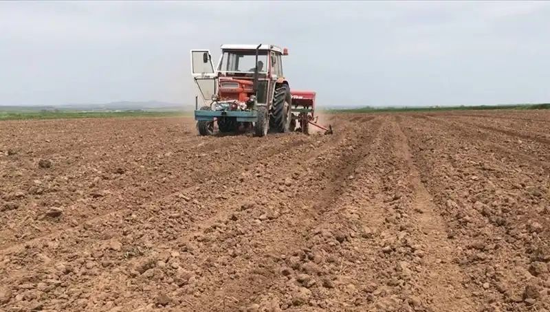 Son 35 Yılda Görülen En Kurak Mart: Yağış Miktarı Aşağı Yüzde 59 Düştü