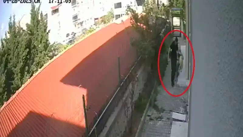 Sahiplendiği Köpekleri Evde Parçalayan Doktora Şok Tutuklama