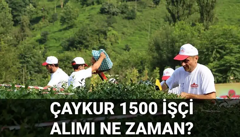 Çaykur İşçi Alımı İçin Beklenen Başvuru Tarihleri Açıklandı!