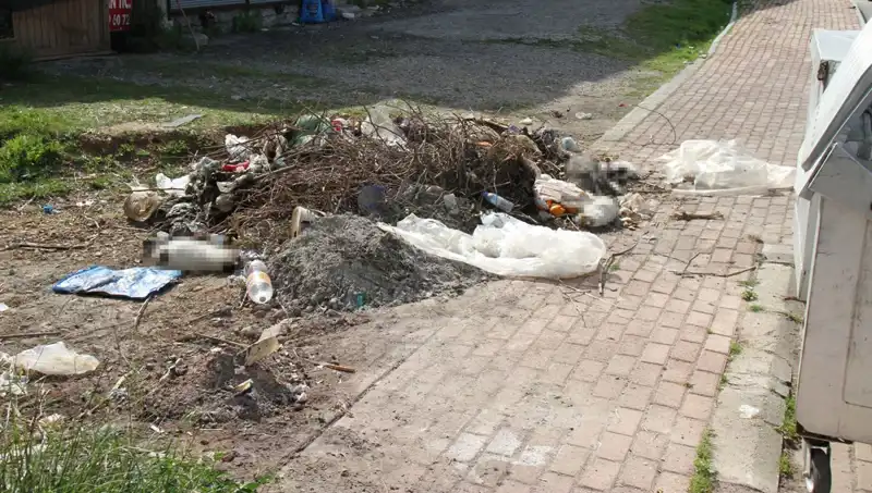 Antalya'da Vahşet: 10 Kedi Ölü Bulundu, Halk Şokta!