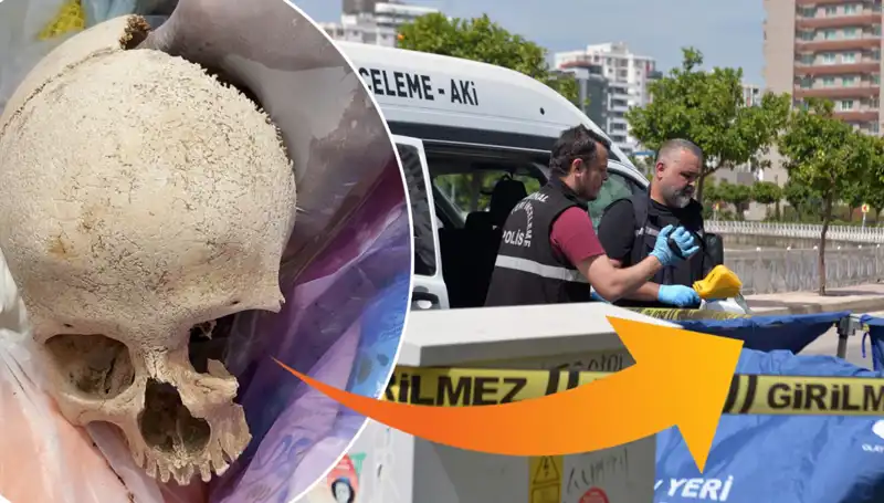 Sitenin Çöpünde Bulunan Kafatasının Gizemi Çözülünce Skandal Patlak Verdi