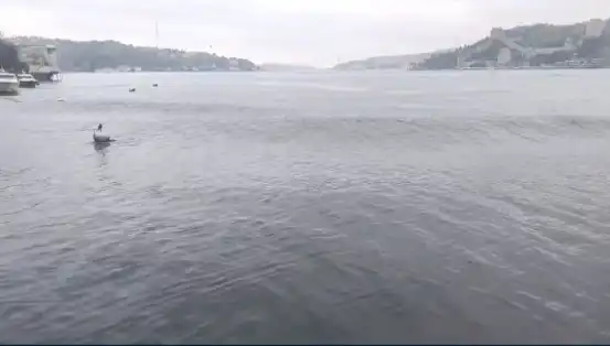 İstanbul'u Sallayan Deprem: Denizde Yükselen Dalgalar Neden Oldu?
