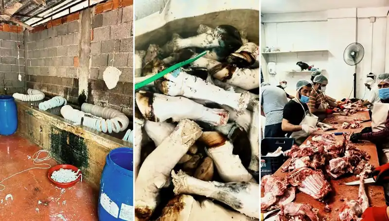 Adana’da Şok Surat: Yüzlerce Kilo Paça Ele Geçirildi