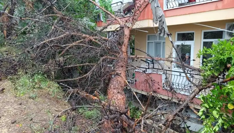 Yağmurun Binası Devirip Yıkması: Olayın Ardındaki Gerçekleri Keşfedin