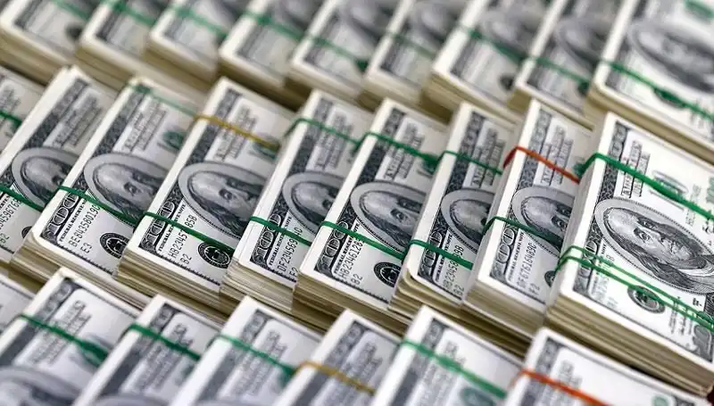 Doların Hızla Yükselişi: Piyasalarda Neler Oluyor?