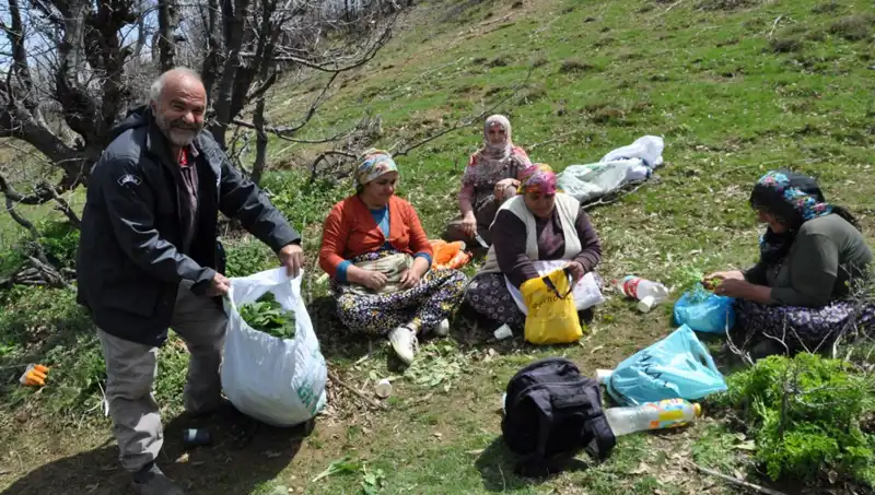 500 TL’ye kadar kazanç getiren nadir bir hazine: Mantar toplama yolculuğu