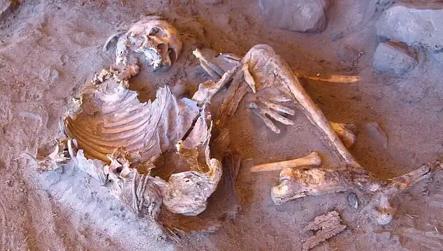 Yeni Mumya Keşfi ile İnsan Soy Ağacı Değişiyor: Bilim Dünyasında Şok Etkisi!