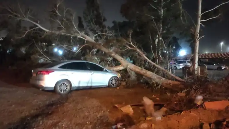 Hatay'da Fırtına Felaketi: Tekne Alabora Oldu, Ağaçlar Devirdi