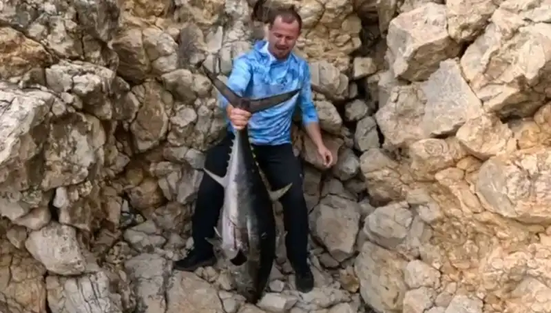 Saros’ta Oltaya Takılan Dev Balık, Avcıları Şaşırttı ve 20 Dakika Mücadele Ettirdi