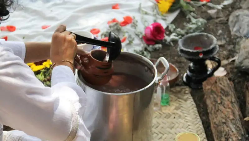 Ayahuasca: Gizemli Şifalı Çay ve Yasal Durumu Nedir?
