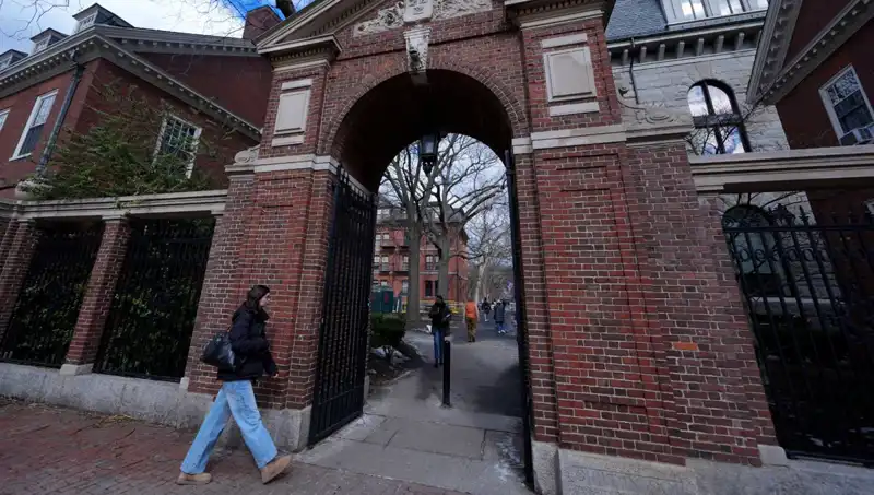 Harvard Profesörleri, Trump Yönetimine Karşı İddialarla Dava Açtı