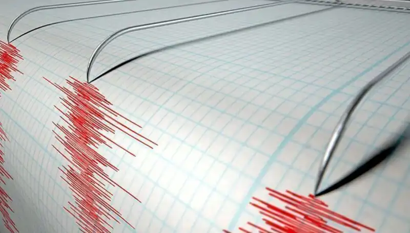 Yeni Zelanda'da 6,7 Büyüklüğünde Deprem: Halkta Panik ve Hasar