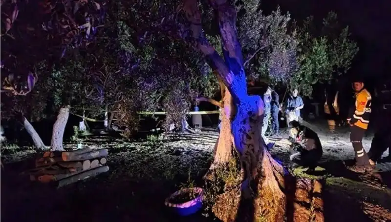 Çiftlikteki Baltalı Vahşet Olayında Şok Tutuklama: Ayrıntılar Ortaya Çıktı
