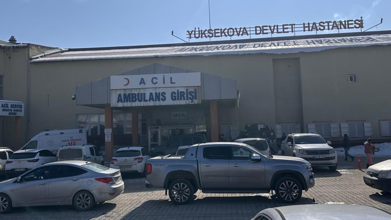 Başıboş köpeklerin saldırısıyla yaşanan trajediye müfettiş müdahale etti
