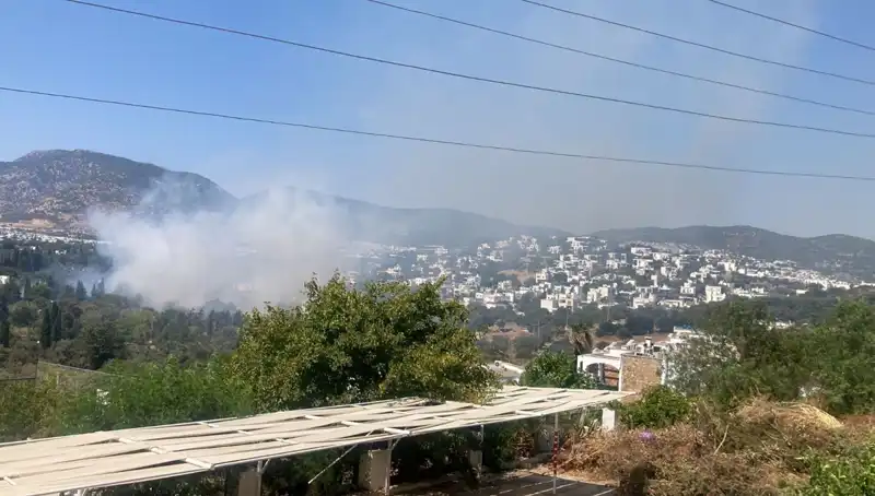 Muğla Orman Yangınları Kontrol Altına Alındı, Bölgedeki Durum Rahatlatıcı